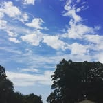 Chris Baer - @chrisbaer44 - Instagram