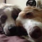 Chris Baer - @chris__baer - Instagram