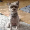 Chris Bardwell - @chris.bardwell - TikTok
