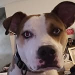 Chris Barger - @vcbarger - Instagram