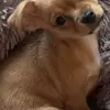 Chris Barkas802 - @mollymae706 - TikTok