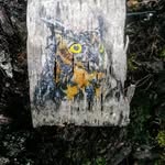 Chris Barks - @cdb71770 - Instagram