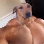 @chris_barkstead1 - Instagram