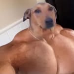 @chris_barkstead - Instagram