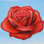 Chris Barnstable - Facebook