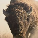 Chris Barraza - @buffalo417 - Instagram