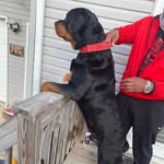 Chris Barren - @masterbarren - Instagram