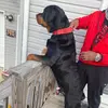 Chris Barren - @masterbarren - TikTok