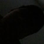 Chris Barrientos - @barrientos_chris - Instagram