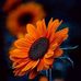 Chris Barrientos - Facebook