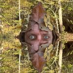 Chris Barth - @geodize_music - Instagram