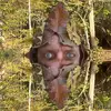Chris Barth - @chris.barth33 - TikTok