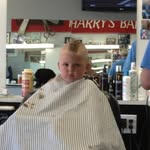 Chris Bartolomei - @chris.bartolomei3 - Instagram
