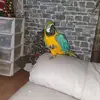 chrisbarwick75 - @chrisbarwick75 - TikTok