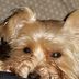 Chris Bashaw - Facebook