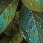 Chris Basilio - @chrisbasilio.too - Instagram