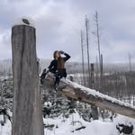 Chris Willi Bäßler - @gestiefelter_zottel - Instagram