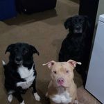 Chris Batch - @cbatch05 - Instagram