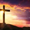 ✝️_Chris_✝️ - @_chris_badenhorst - TikTok