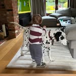 CB - @chrisbatley - Instagram