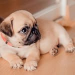 Chris baugh - @baugh7586 - Instagram