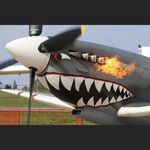 Chris Baugh - @chris.baugh34 - Instagram