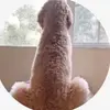 Chris.lobaugh - @chris_lobaugh - TikTok