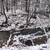 chris bauguess 0427 - @chrisbauguess1985 - TikTok