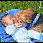 Chris Baumann - @chris.baumann.35110 - Instagram