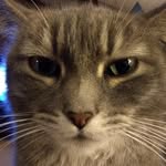 Chris Baumgartner - @chris.baumgartner94 - Instagram