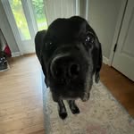 Chris Baumgartner - @chris_62309 - Instagram