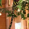 Christa Bausch - @christa.bausch - TikTok