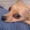 Bayakz - @christianbayaca - TikTok