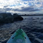 Chris Bayly - @cbayly - Instagram