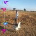 Chris Bazale - Facebook