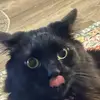 Chrisbegood13 - @chrisbegood13 - TikTok