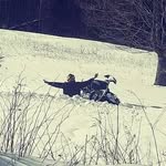 Chris Beane - @chris.beane.10 - Instagram