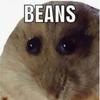 chris_beans - @chris_beans1 - TikTok