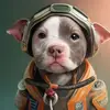 chrisbeaty987 - @chrisbeaty987 - TikTok