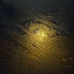Christian Beaubien - @christian.beaubien - Instagram
