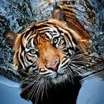 Chris Beaudry - @chrisbeaudry - Instagram