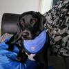 chrisbeaven961 - @chrisbeaven961 - TikTok