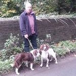 Chris Bebb-Bassett - @chris.bassett.127 - Instagram