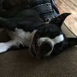 Chris Rasco - @chris_be_careful - Instagram