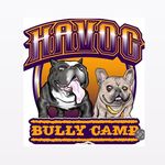 Chris Becerra - @havoc_bully_camp_chris - Instagram