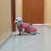 Chris Becerra - Facebook