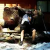 Chris Bechtold - @chrisbechtold - TikTok