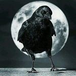 Chris Beckmann - @c.beckmann68 - Instagram
