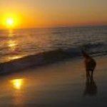 Chris Beckstead - @becksteadchris - Instagram