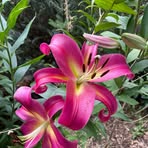 Chris Bednarek - Facebook